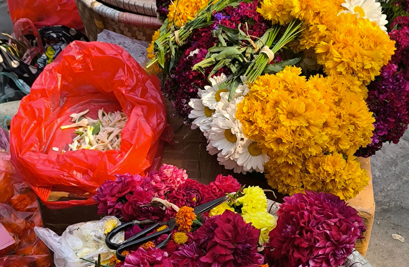 Mandala de Flores: um convite coletivo à paz e à compaixão