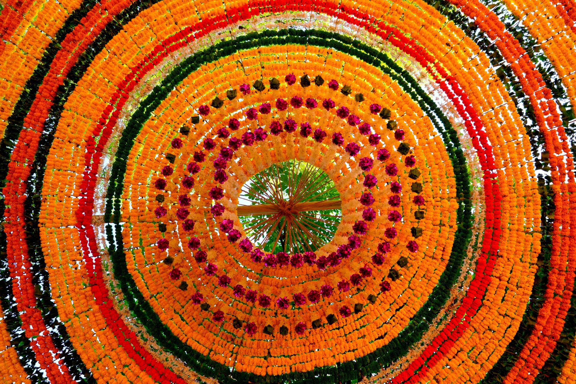 Mandala de Flores: um convite coletivo à paz e à compaixão